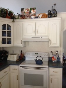 photo 3 (35)