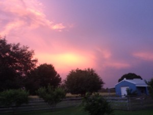IMG_9753